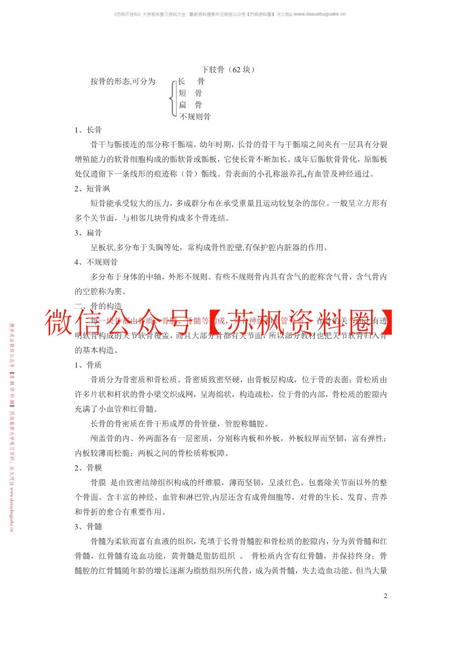 人体形态学(更新)